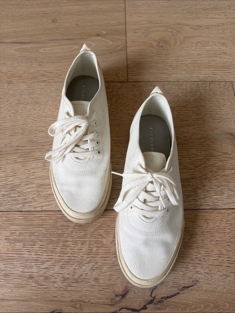 Everlane Ivory Canvas Low-Top Sneakers size 8.5